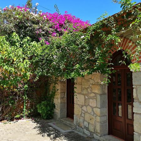 Paraje La Huerta Oaxaca 外观 照片